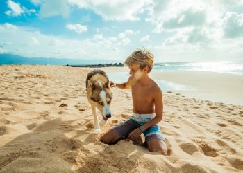Boy Seating on Brown Sand