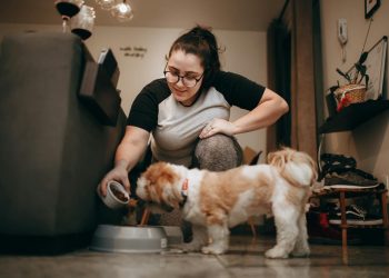 Woman Feeding Dog in Home