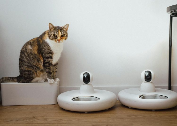 smart home, cat food server robot with webcam
