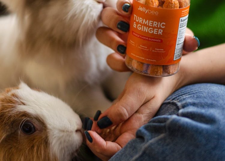 Person Holding Supplement Brand