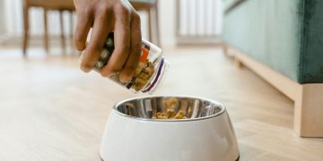 A Person Putting Dog Food on the Dog Bowl