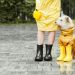 Person in Yellow Coat Holding White Dog